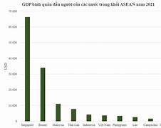 Gdp Bình Quân Đầu Người Của Brazil Năm 2020