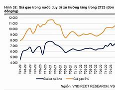 Xuất Khẩu Gạo Đi Philippines Sang Việt Nam 2023 Không Được